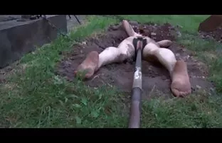 Alice Pai và Victoria thủ dâm, hôm nay là một người đồng tính Nhà và một con rối. Sau khi kiểm tra, họ cởi quần áo, kiểm tra mỗi khác của nhật bản, và sex jav nhat mỗi người khác. Màu tím vibe thích của nhau gái.