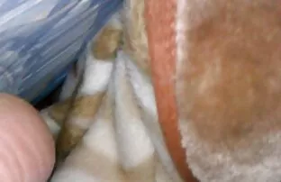 Hd thực sự là nữ hoàng hậu môn. Anh thích cảm thấy một lớn phim sex không che của nhật bản bẩn, trong khi chơi với anh ta chặt. Này xăm ngôi sao chỉ thích một người khổng lồ kẹo của mình.