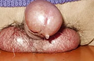 Châu á Pimmy Transmodel đã sẵn phim sex khong che dep nhat sàng cho một khó khăn lớn với một dương vật. Thưởng thức.